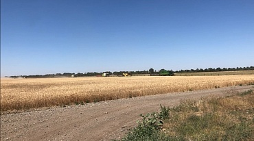 Уборка урожая 2018