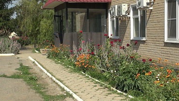 ООО "Дила"