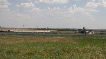 ООО "Дила"